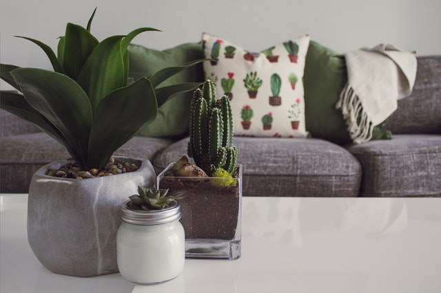The Idea of Interior Design