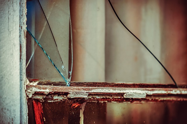 Top 3 Benefits of Termite Inspection
