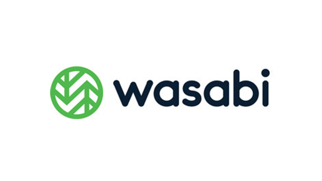 A Guide to Wasabi Cloud Services: The Good and the Bad
